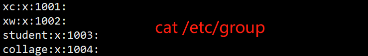 cat /etc/group