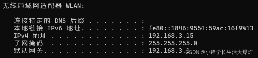 Python获取本机IP地址的几种方式_主机名_05