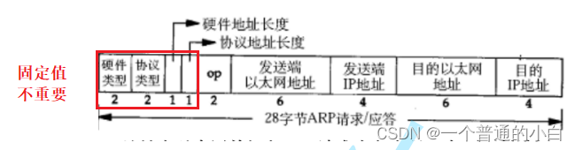 【Linux 网络编程5】网络/数据链路层--IP协议，MAC帧协议和ARP协议