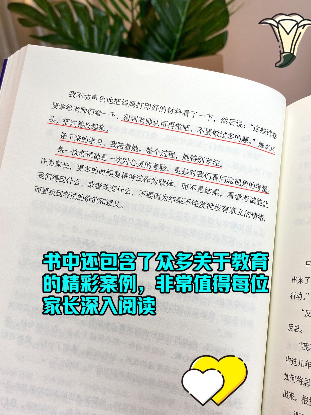 aae3be4c3837d2fe8f842c6a2a31fa2d.jpeg