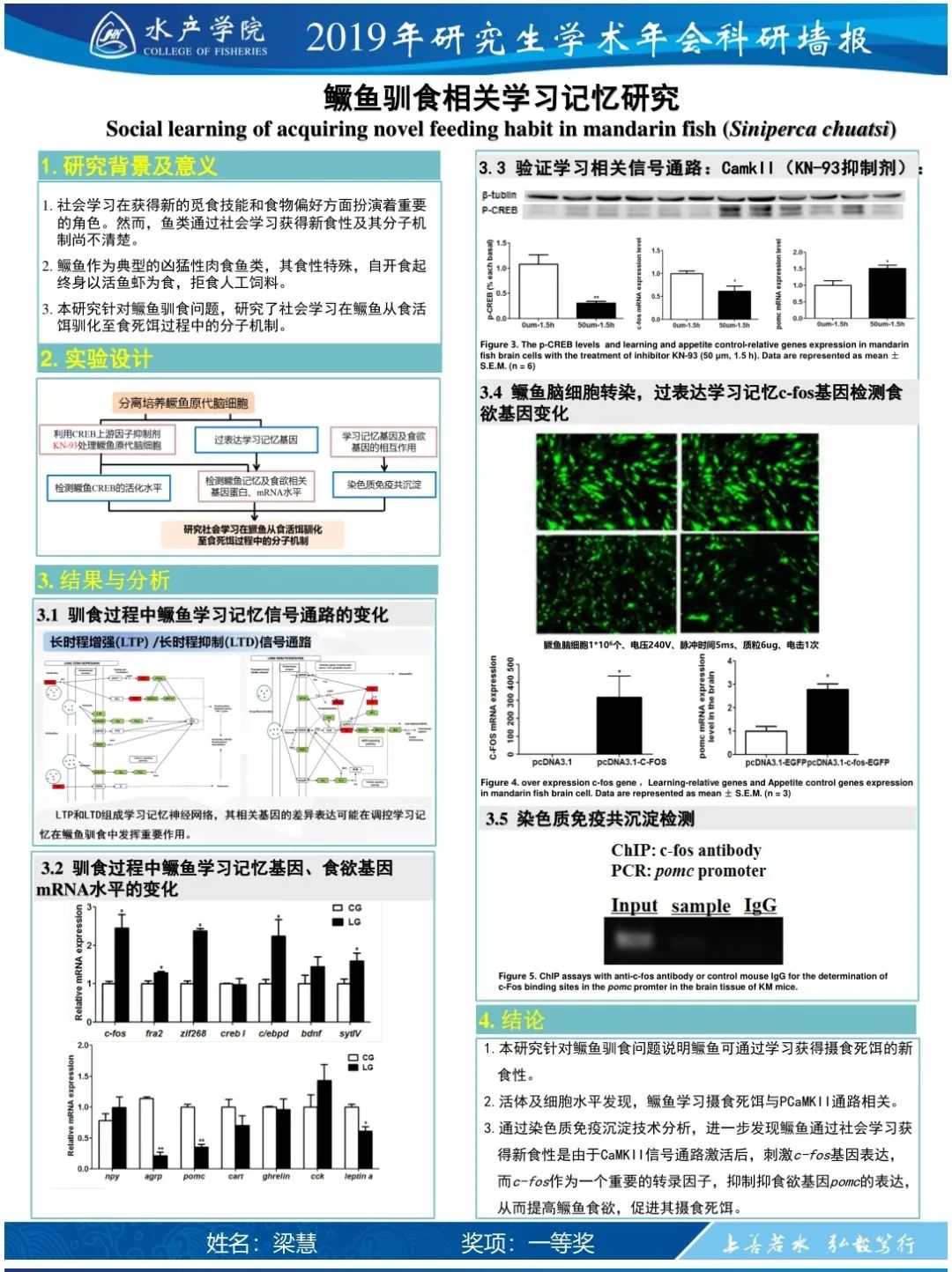 学术墙报模板学院动态水产学院2020年研究生学术年会科研墙报评比活动