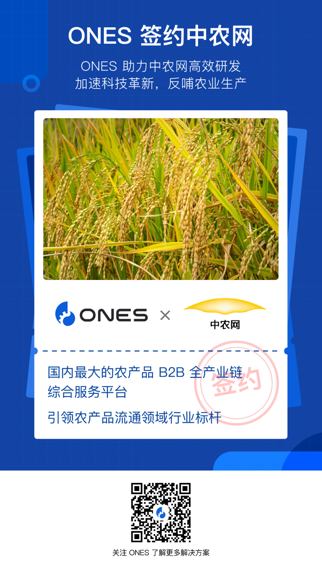 ONES x 中农网 | 引领农产品流通领域行业标杆