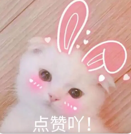 image-20211205175436945