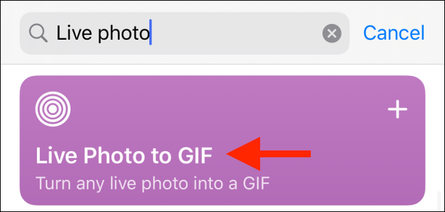 Type "Live Photo to GIF" in the "Search" box, and then tap "Live Photo to GIF."