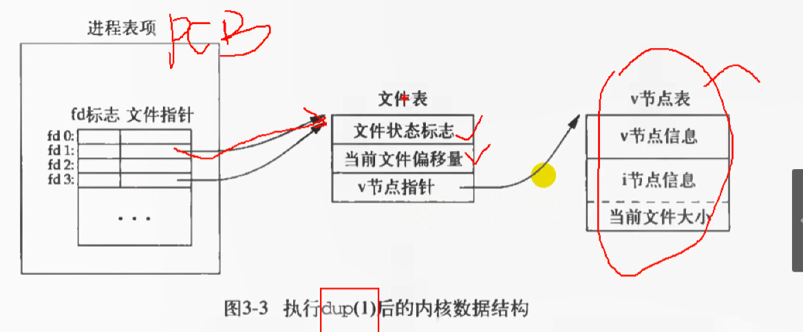 image-20220923074114922