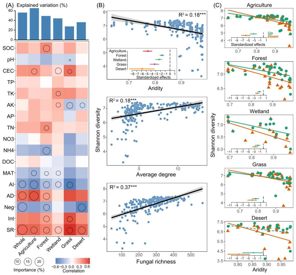 Mat团队文字组审核 Csdn