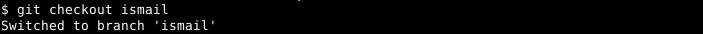 Change/Switch Current Branch
