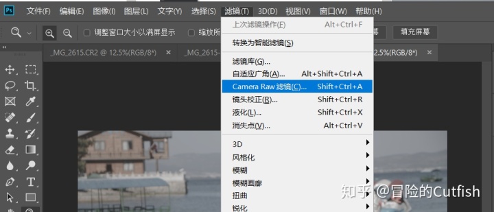 jtextpane设置不能选中_在Bridge cc中不能使用camera raw 的编辑功能，解决方法