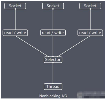 image-20220120141533942