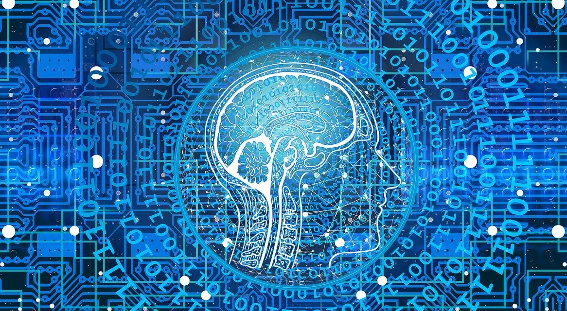 机器学习数据模型每个数据科学家都应该知道的5种机器学习模型