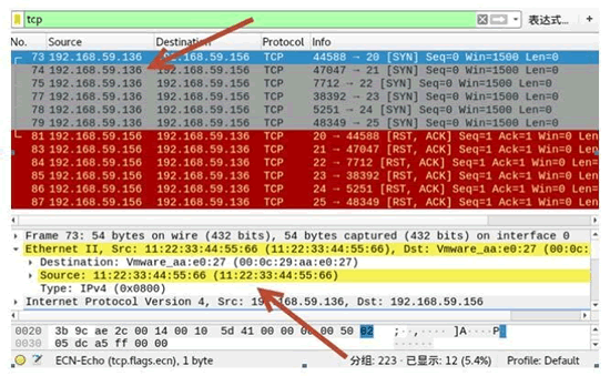 如何精确查找主机IP地址与端口号？掌握这些技巧至关重要