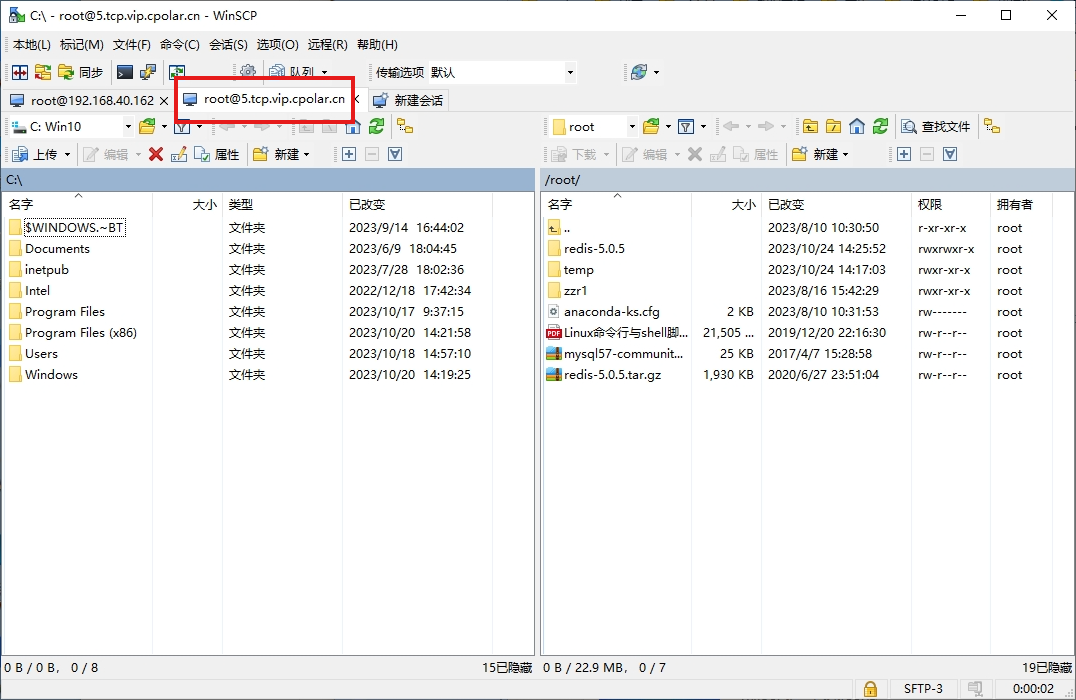 WinSCP下载安装并实现远程SSH本地服务器上传文件