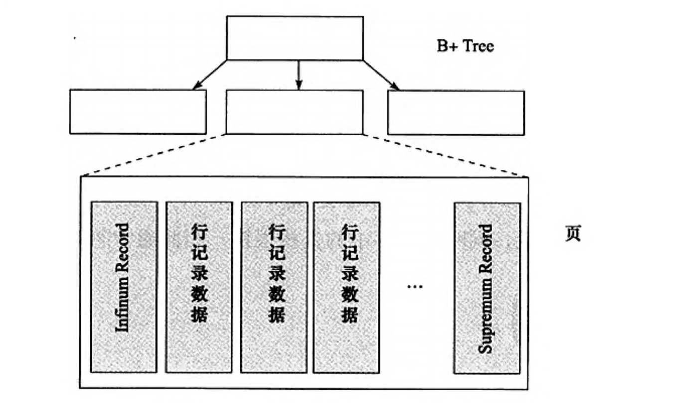 【InnoDB 存储引擎】InnoDB 数据页格式（详细版，数据页格式对于理解索引详细的原理很重要）