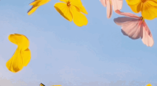 ac4e6ddce06fd8518b29e3d0c6ce6714.gif