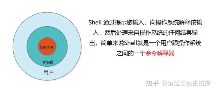 Linux Shell脚本 入门到实战详解 一 Linux Thinkmo的博客 Csdn博客 Linux Shell命令行及脚本编程实例详解