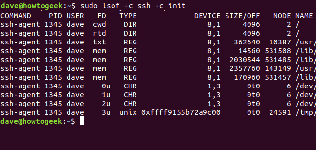 lsof output in a terminal window