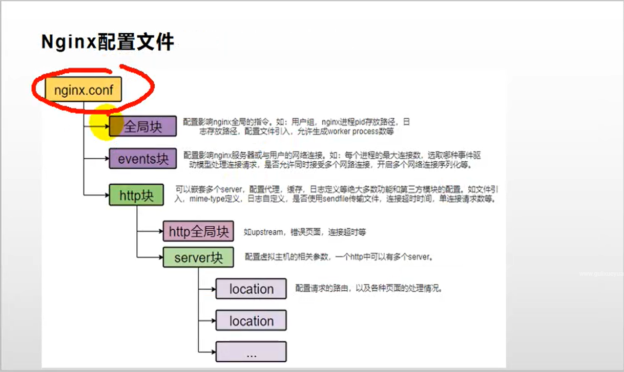 image-20201019010913723