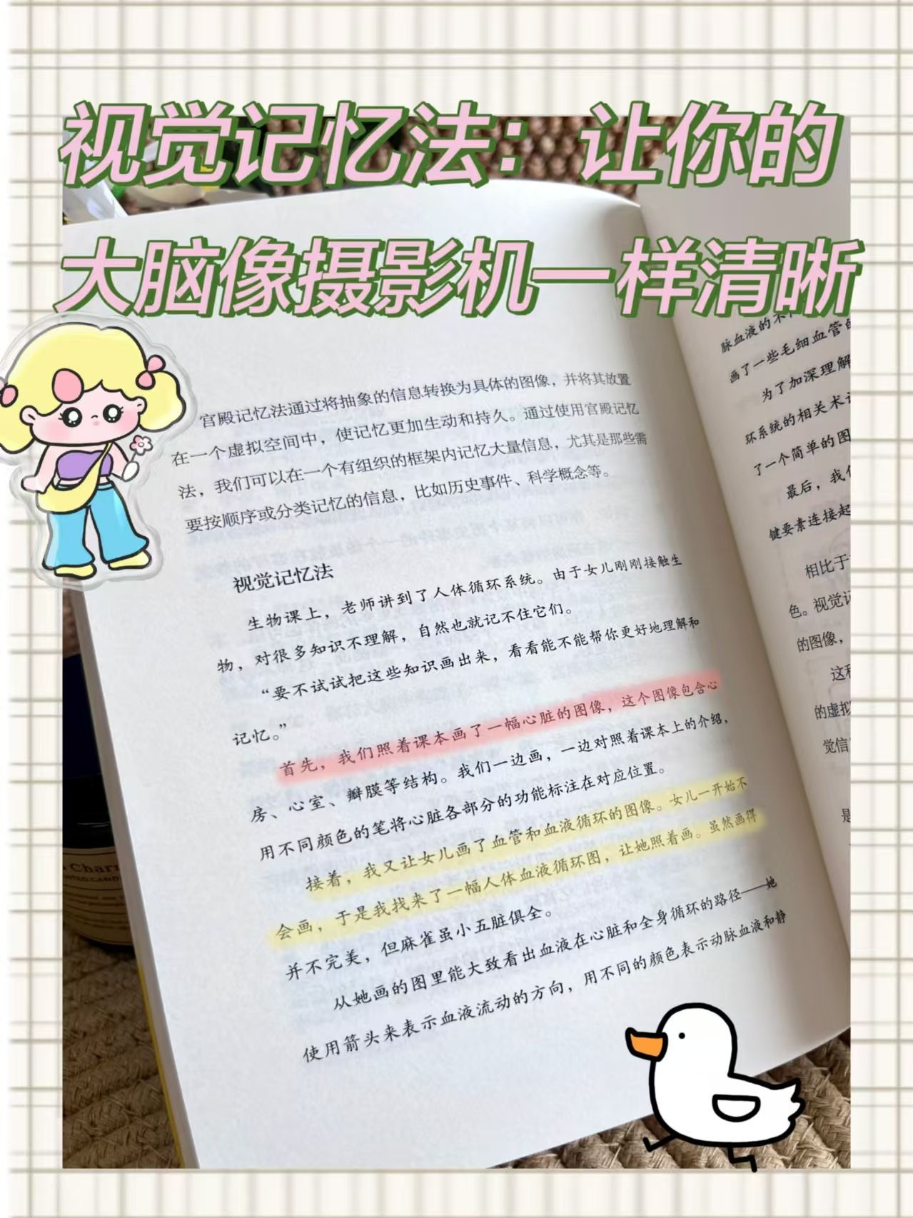 acc16a724ecab542dc1e807cce42e060.jpeg