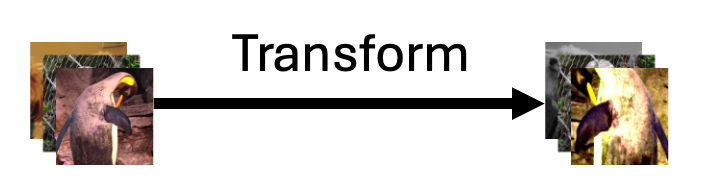 Transform