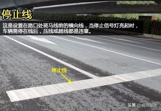 Echarts标记线的样式 交通标识线大全 你都认识吗 Yue Chenn的博客 Csdn博客