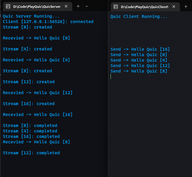 基于 .NET 7 的 QUIC 实现 Echo 服务