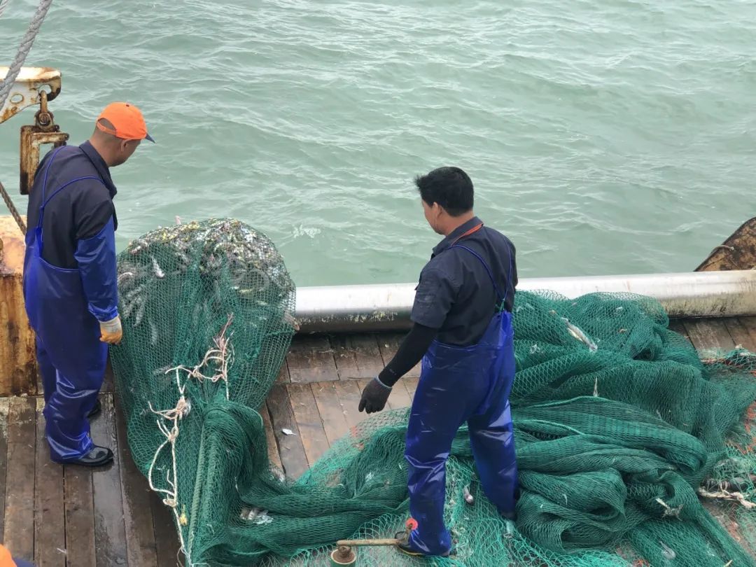 误差条图各部分的代表意思标志重捕法大小网眼渔网捕鱼的估算值误差