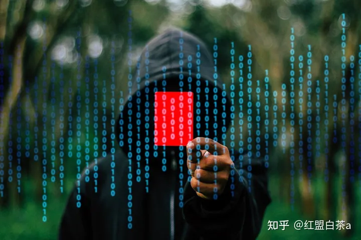 红客联盟是什么？红客需要传承！-CSDN博客