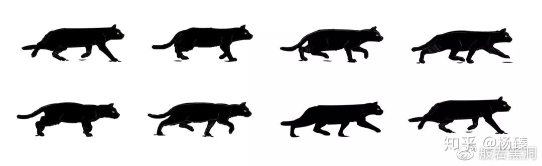 比如这里有多张猫咪走路过程中的姿态图片,我们知道,电影的原理是每秒