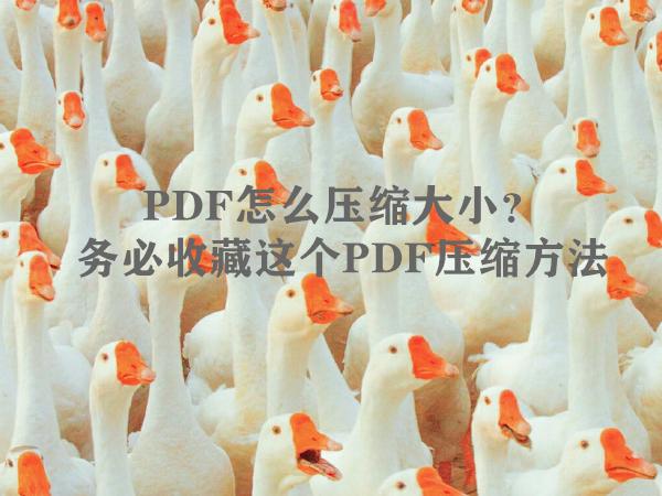 ad8411affbe41817b9d068a84123a07d.png