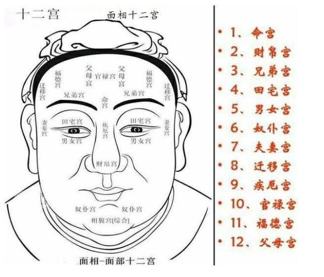 面相十二宫简单也很复杂,就像他们的名字一样,以宫位名称看各宫位代表