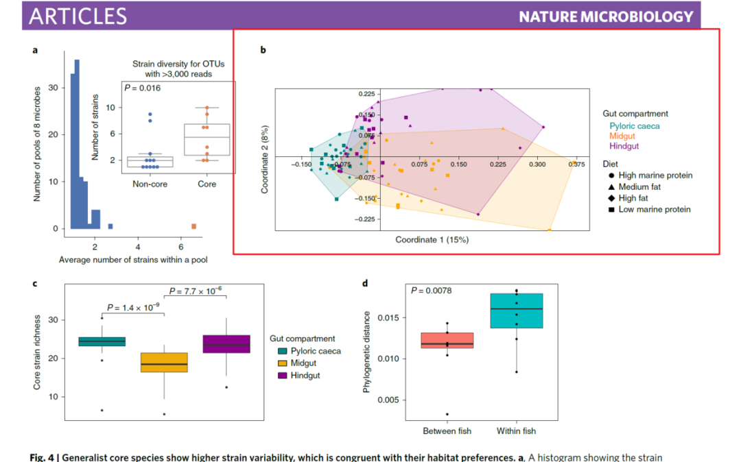 鸢尾花散点图_跟着Nature microbiology学画图~ggplot2散点图添加分组边界-CSDN博客