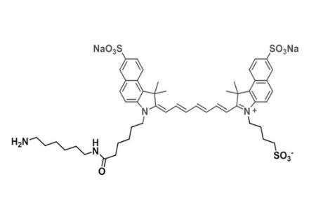 Disulfo ICG Amine，二磺酸吲哚菁绿氨基，应用于多种生物大分子以及药物的检测