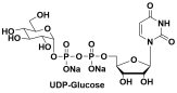 UDP-葡萄糖