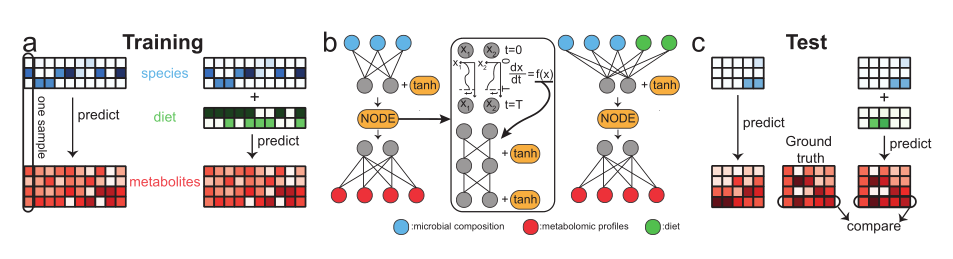 Nature Machine Intelligence: 刘洋彧等利用神经常微分方程预测微生物代谢谱_predicting ...