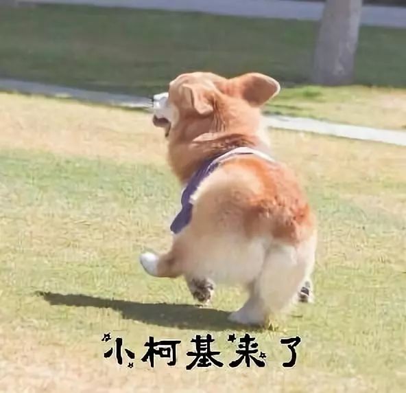 ae9539ff9b83efe1f4c4f14a08824fbb.png