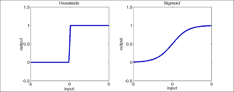 The perceptron