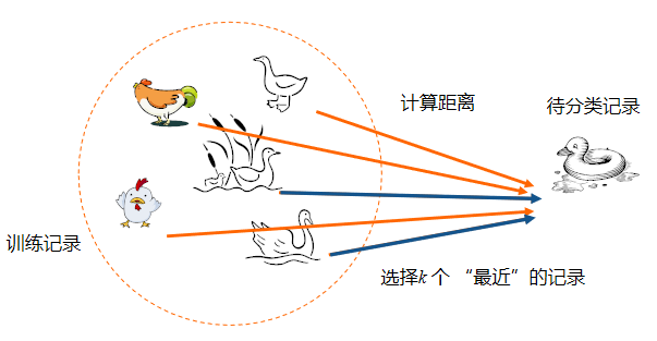 image-20220610155253267