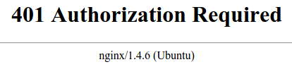 Nginx 未经授权的错误