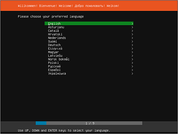 Ubuntu Server 20.04 中的 Subiquity 设置