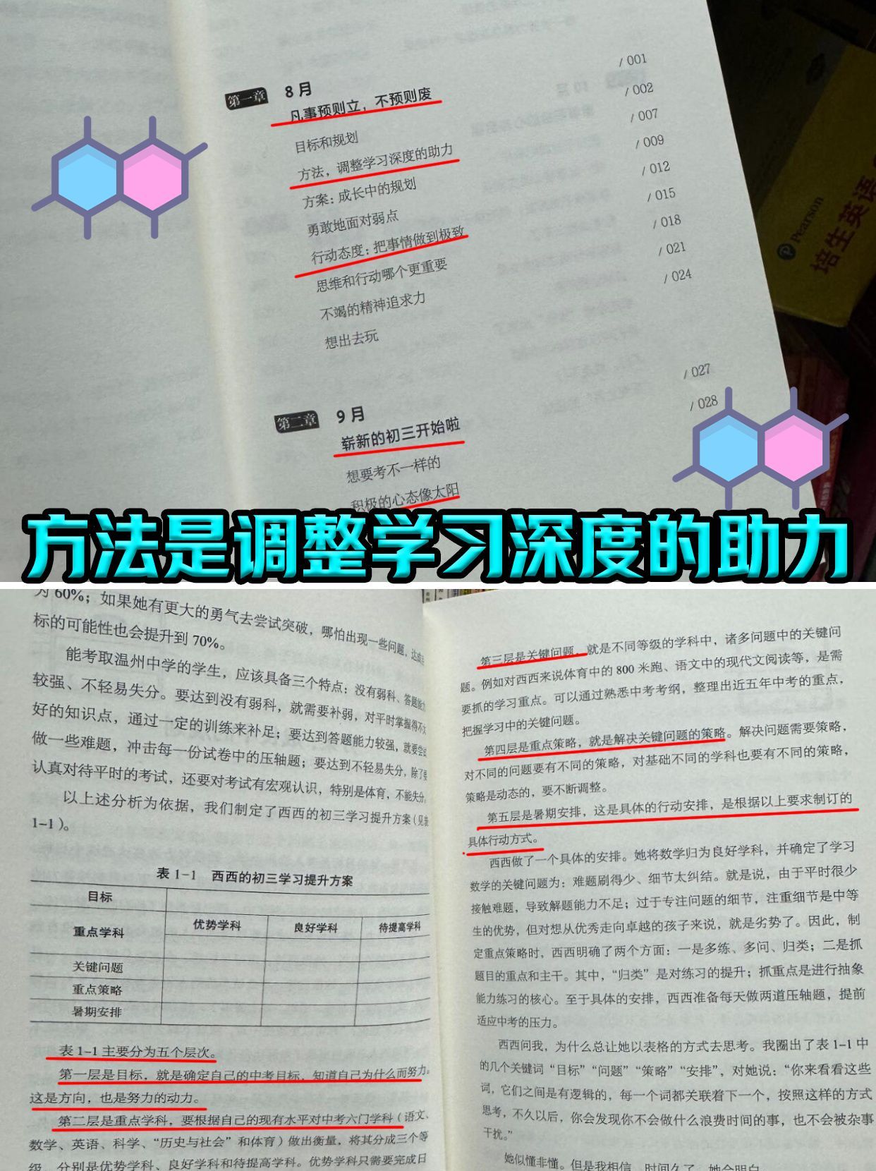 aedbdfcb801ea4dbd1fe1a31782a0496.jpeg