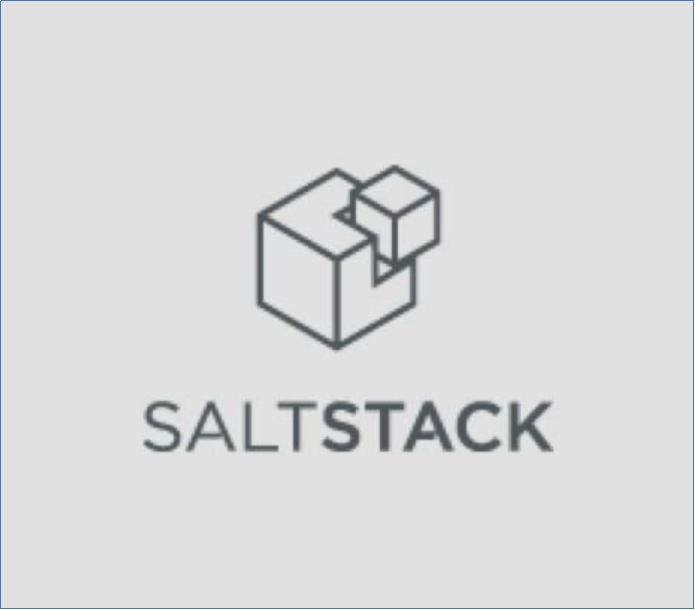 SaltStack命令注入漏洞复现（CVE-2020-16846）