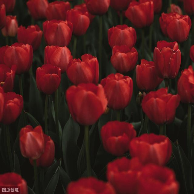 拍照如何拍出正常比例 af52f7c809b6a295aaeb1b8353b227f9.png