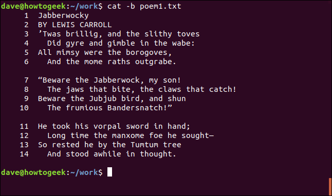 numbered lines skipping blank l;ines in a terminal window