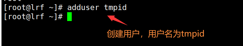 image-20220301195555947