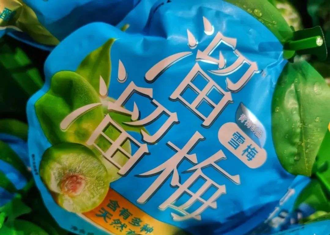 肖战粉丝，溜溜梅的天花板