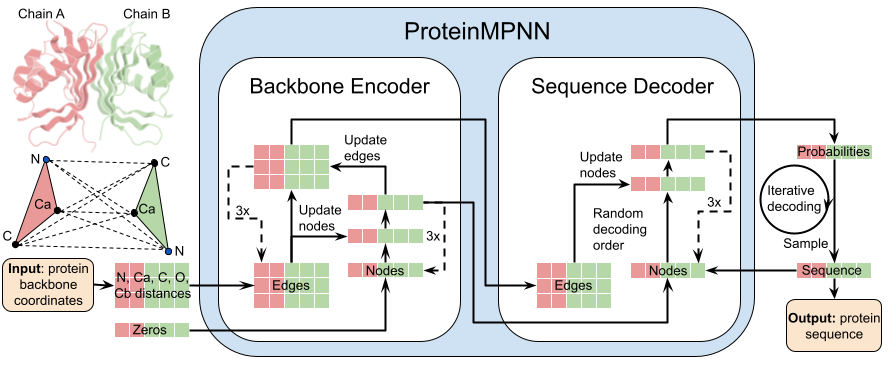 基于深度学习的蛋白序列设计方法——proteinMPNN-CSDN博客