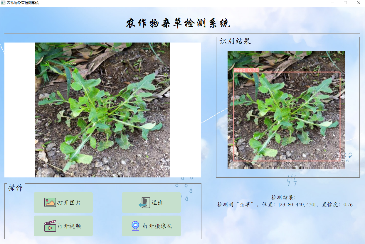 YOLOv8+PyQt5农作物杂草检测系统完整资源集合（yolov8模型，从图像、视频和摄像头三种路径识别检测，包含登陆页面、注册页面和检测页面）