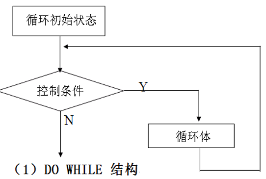 タイポラ画像