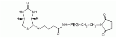 Biotin-PEG-MAL生物素聚乙二醇马来酰亚胺；MAL-PEG-Biotin