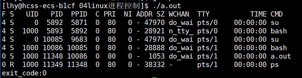 Linux | 深入探究Linux进程控制：从fork函数到进程等待再到进程替换